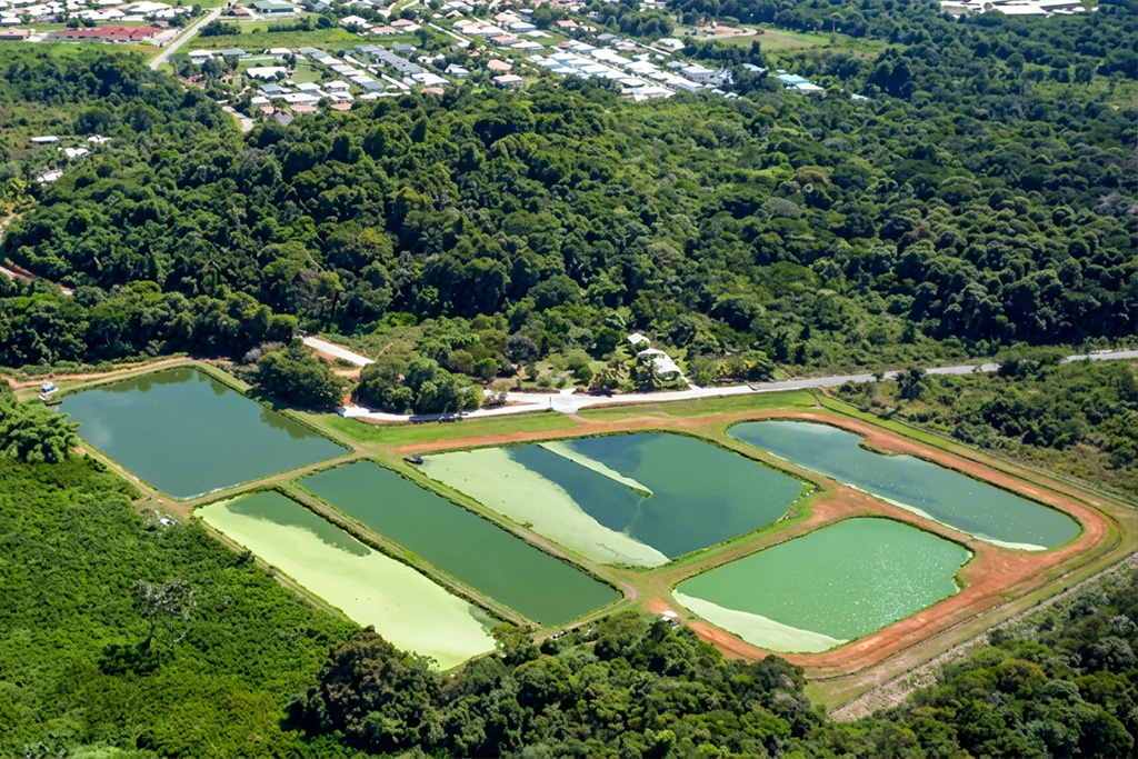 Lagune Morne Coco à Rémire-Montjoly